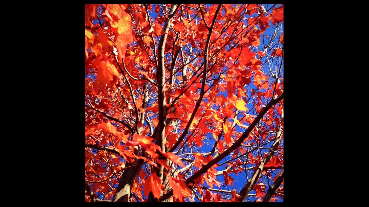 Gilbert Bécaud - C'est en septembre