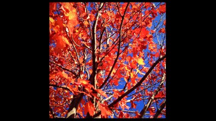 Gilbert Bécaud - C'est en septembre