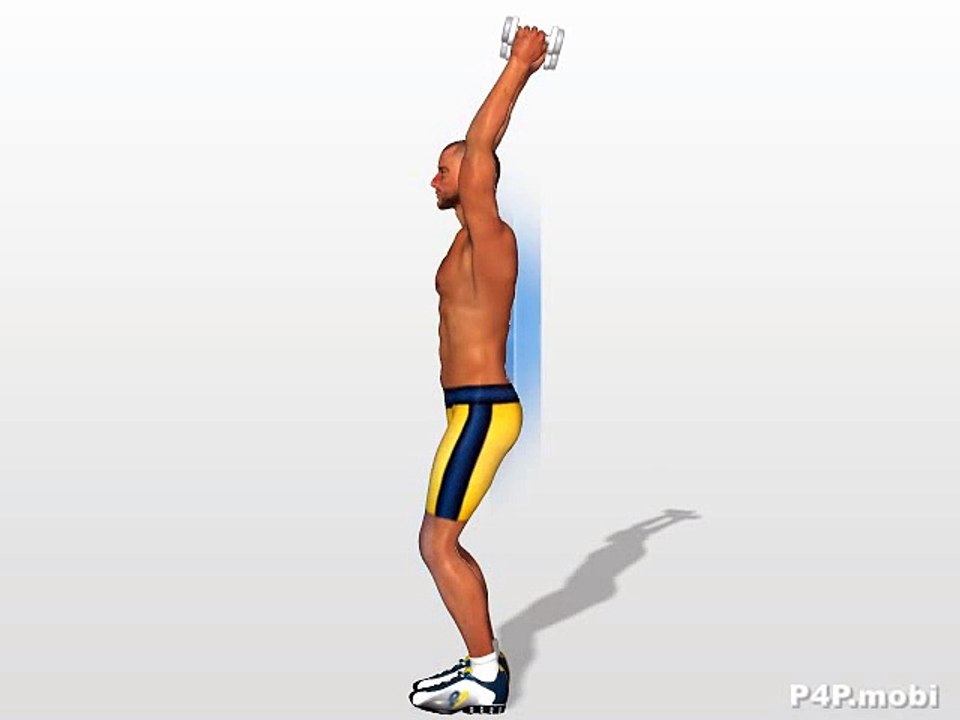 Triceps Exercises ׃  Extensions