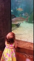 Little Girl SCARED of a Fish