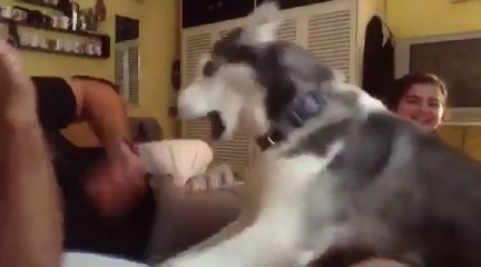 حدث ما لم يكن في الحسبان بدون تعليق