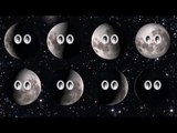 Phases of the Moon from the Southern Hemisphere - The Kids' Picture Show (Fun & Educational)