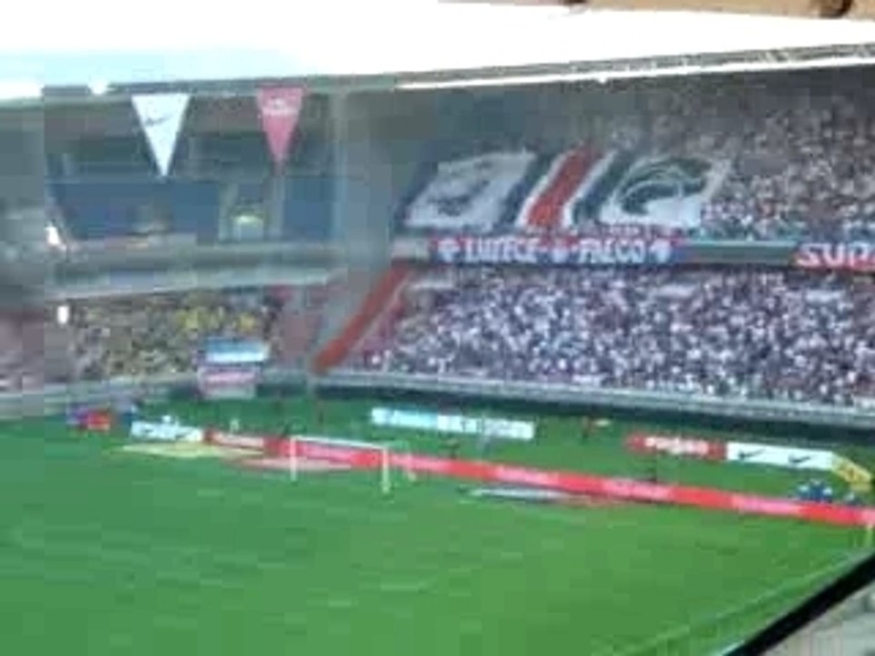 L1 foot