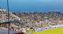 Incredible support for Pakistan today - crowd celebrating a Pakistan wicket at Old Trafford