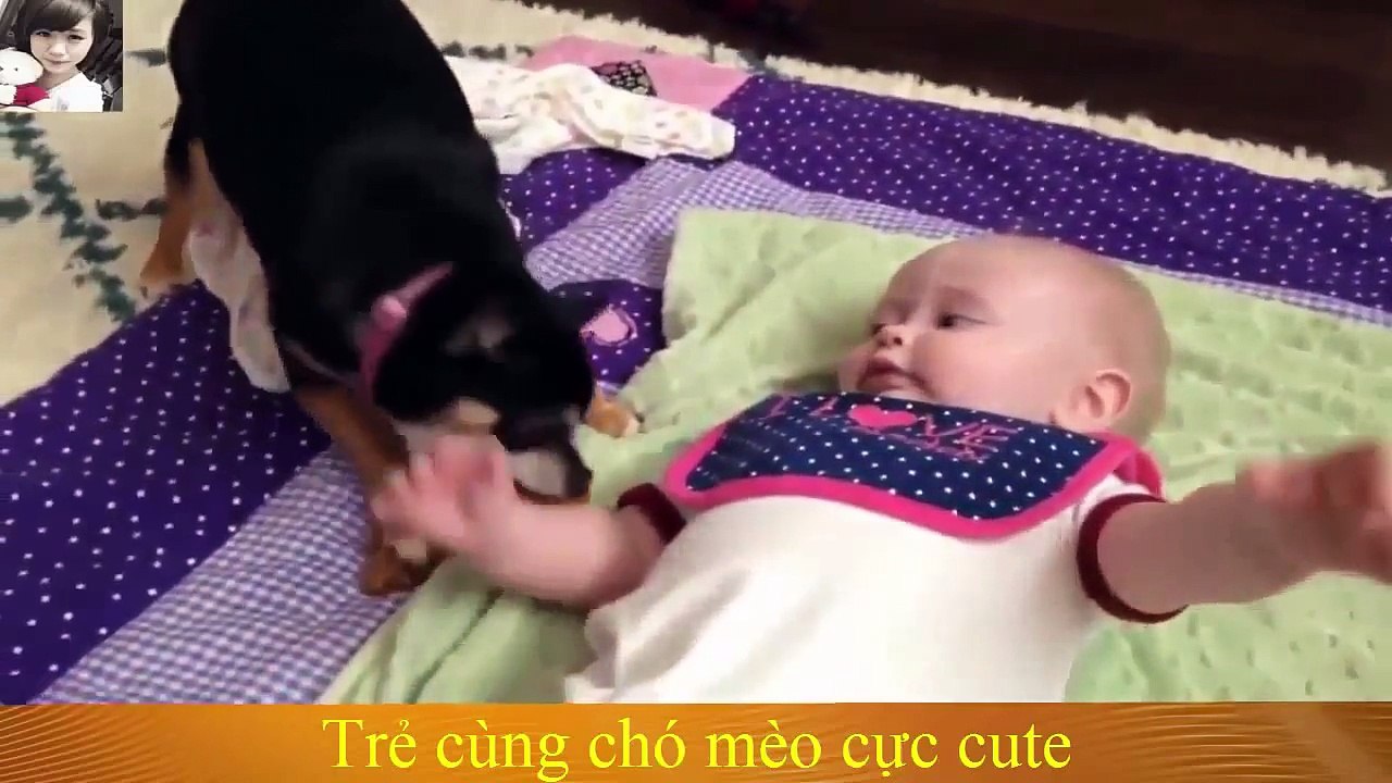 FUNNY ANIMALS VIDEO BEST COMPILATION 2016