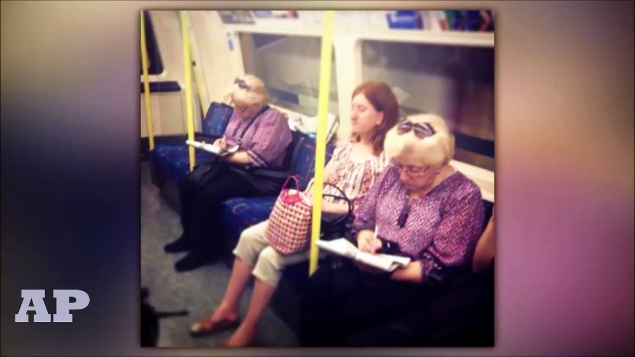 30 Funny Photos Taken At The Right Moment