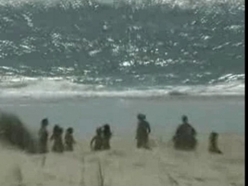 Praia do Osso da baleia