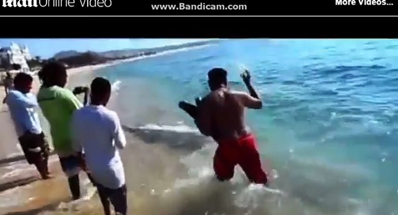 MAKHLUK LAUT MISTERIUS DENGAN GIGI TAJAM BAK PISAU CUKUR MUNCUL DI DARATAN