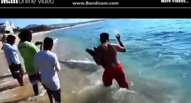 MAKHLUK LAUT MISTERIUS DENGAN GIGI TAJAM BAK PISAU CUKUR MUNCUL DI DARATAN