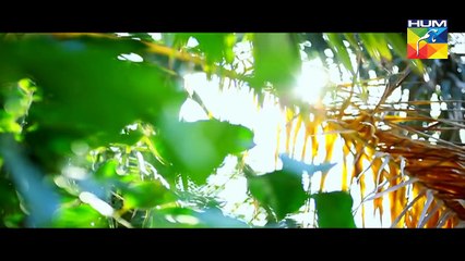 Be Aitebaar Episode 25 Full HD