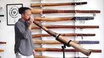 Jesse Lethbridge didgeridoo #3315