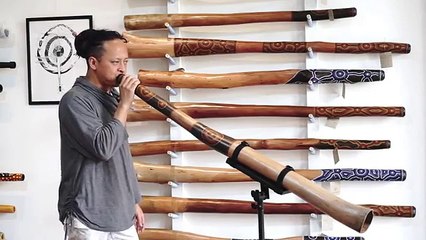 Jesse Lethbridge didgeridoo #3315
