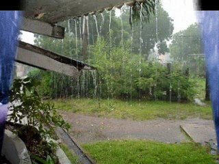 خواب میں بارش ہوتے ہوے دیکھنا