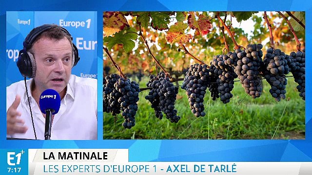 L'agriculture menacée de faillite et Téhéran accuse Ryad de bloquer le chemin vers La Mecque : les experts d'Europe 1 vous informent