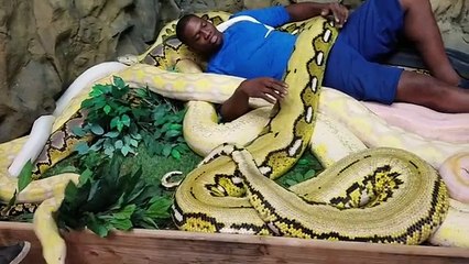 Insolite! Kevin Seraphin prend un bain de pythons