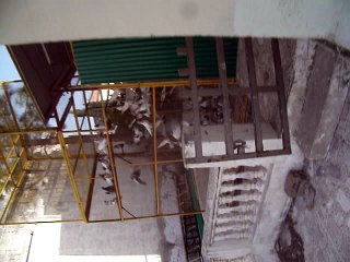 Kabootar for Sale Rawalpindi Shah Pigeon Farm