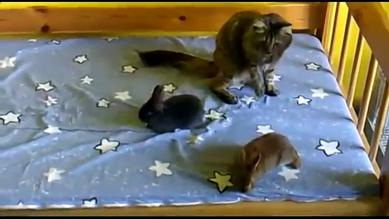The Best friends