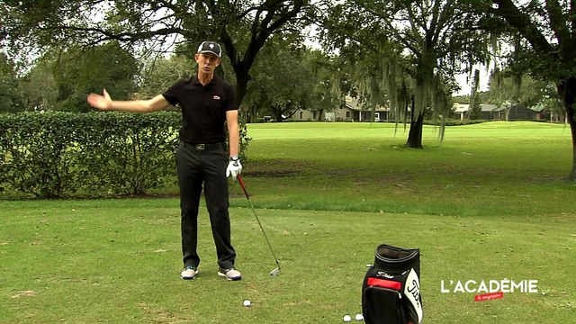 Le Swing par Patrice Amadieu : le sommet de la montée