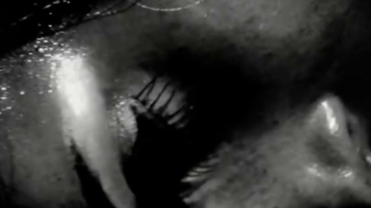 Pale-Le paradis de se plaire