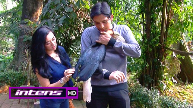Tiara Akrabi Hewan Peliharan Lucky Hakim - Intens 08 September 2016
