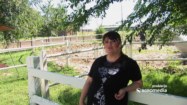 Vesti - „Almex“ još jednom domaćin II kola Prvenstva Vojvodine u dvopregu i četvoropregu