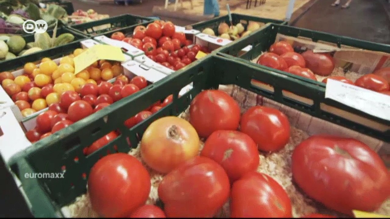 Erfolgsrezept: Spaghetti all'amatriciana | Euromaxx