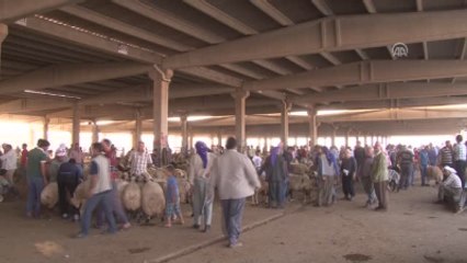 Kurbanlık Tercihi Bölgelere Göre Değişiyor"