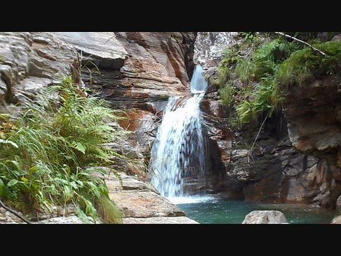 Top animaux trop mignon et drôle Ourson brun – Montagne Vacances – Bébés animaux : C’est bébé