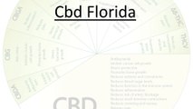 Cbd Florida