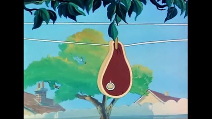 Tom and Jerry, 44 Episode - Love That Pup (1949)