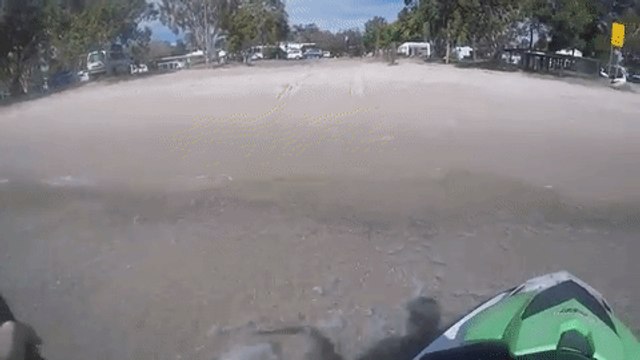 Baby Wallaby Stuck in Open Waters Rescued via Jet Ski