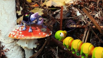 Caterpillar Shoes - Nursery Rhyme