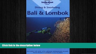 behold  Diving and Snorkeling Bali and Lombok (Lonely Planet)
