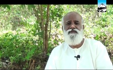 Sri Bagavath Ayya QA in English - 3 ( Bagavath Path - English )