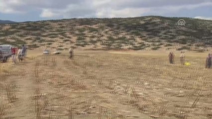 Burdur'da Hayvan Otlatma Kavgası: 3 Ölü, 1 Yaralı