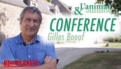 [L'animal&L'homme] De l'animal à l'Homme - Gilles Boeuf, Ancien président du Muséum d’Histoire naturelle, conseiller Biodiversité auprès de Ségolène Royal