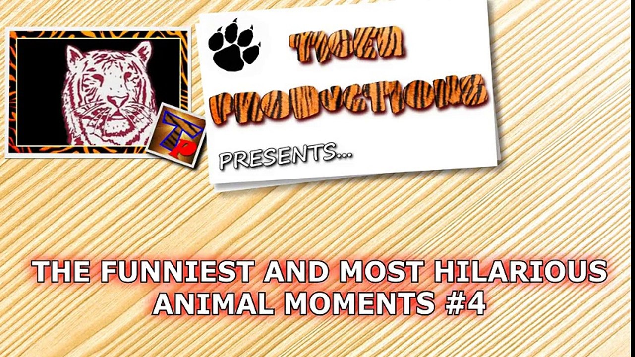 Funniest, cutest and most amusing ANIMAL videos #4 - Funny animal compilation - Watch & laugh!