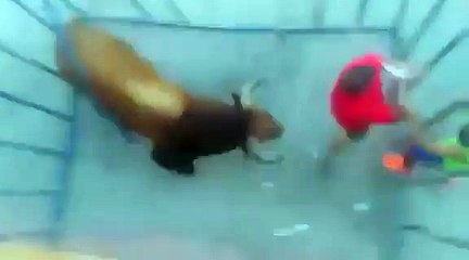 Il ne faut pas exciter un taureau surtout quand on porte un tee shirt rouge !