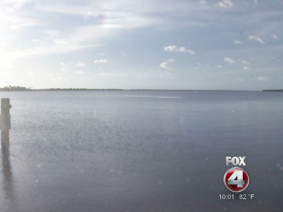 Man rescued after being surrounded by ten sharks