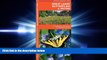 complete  Great Lakes Butterflies   Moths: A Folding Pocket Guide to Familiar Species (Pocket