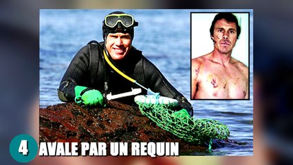 LES ATTAQUES D'ANIMAUX LES PLUS CHOQUANTES - Sais-tu que?