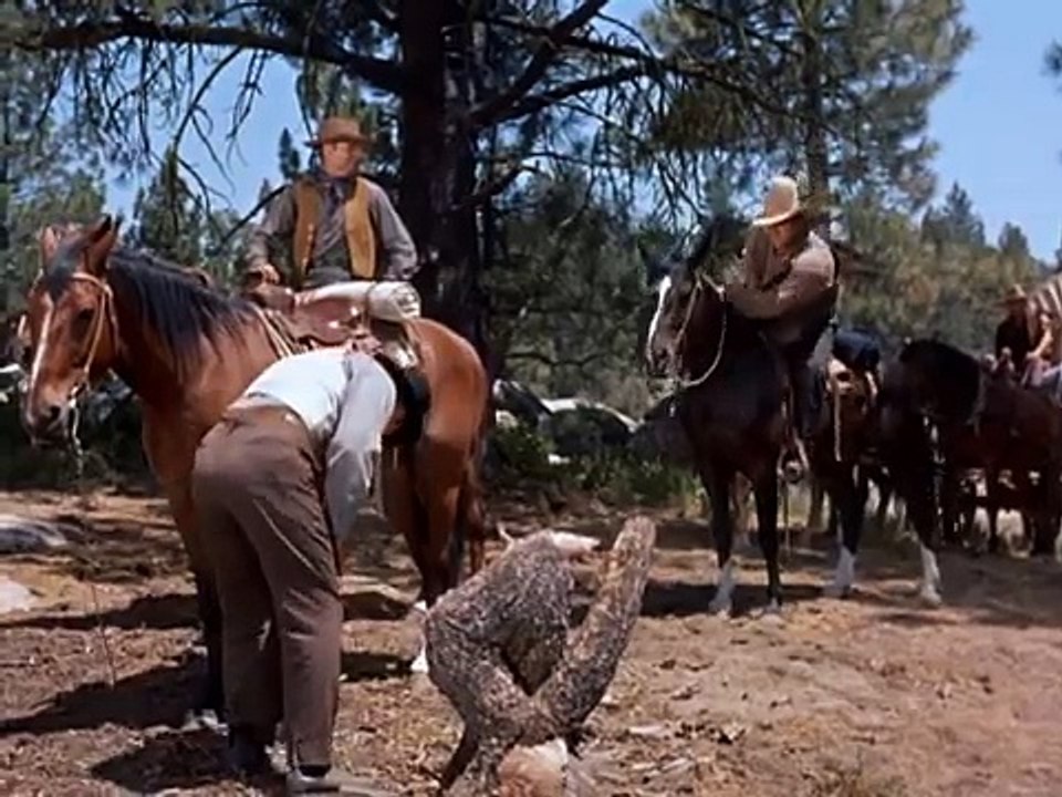 Bonanza Cap 1x3 - Los Recién llegados