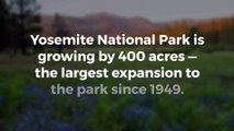 Yosemite National Park unveils 400-acre expansion