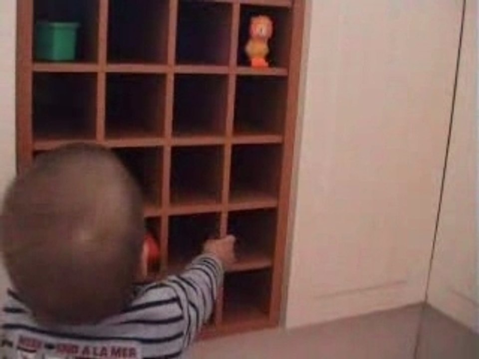 Onze mois