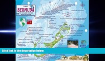 complete  Bermuda Dive Map   Reef Creatures Guide Franko Maps Laminated Fish Card