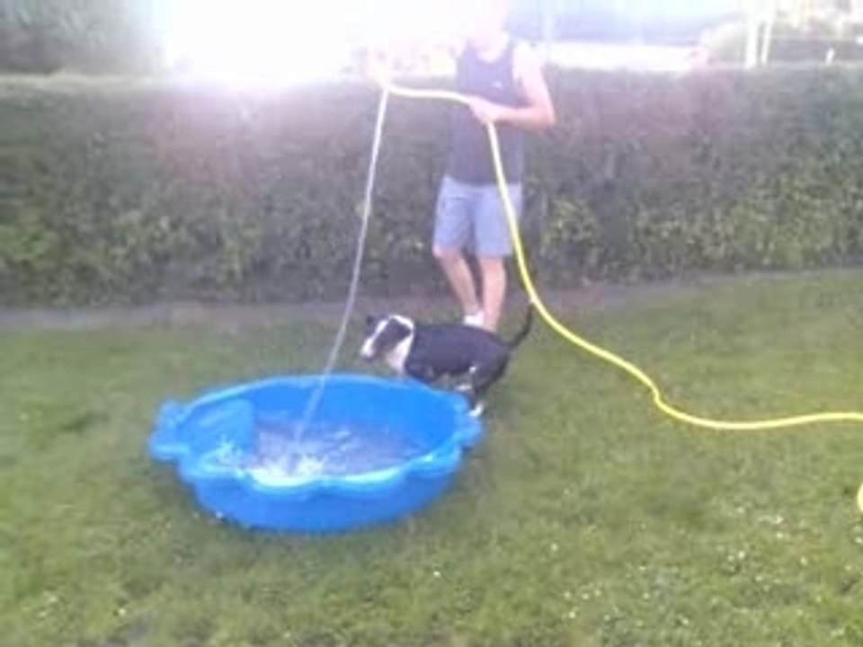 Le jet d'eau, 1 an après (2)