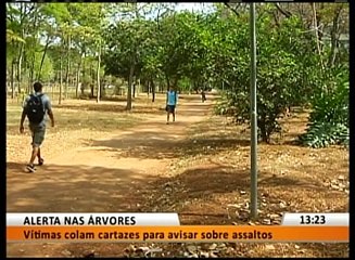 ALERTA NAS ÁRVORES