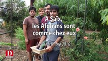 A Saïx, les réfugiés afghans sont comme chez eux