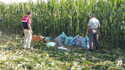 Zehir Tacirleri Kötü Emellerine Ayetel Kürsi'yi de Alet Etti