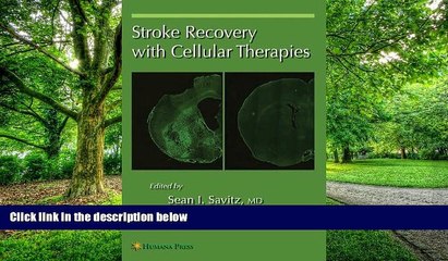 Big Deals  Stroke Recovery with Cellular Therapies (Current Clinical Neurology)  Free Full Read